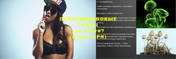 дживик Балахна