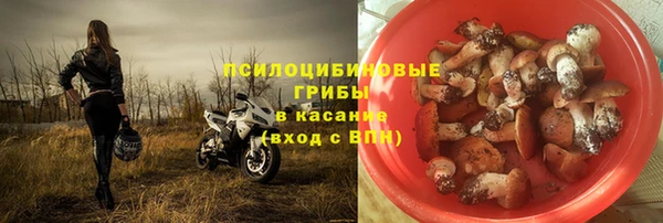 дживик Балахна