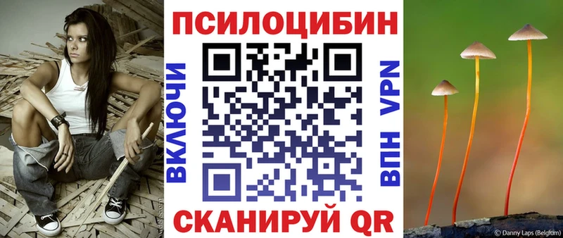 Псилоцибиновые грибы Cubensis  наркотики  Бирюсинск 